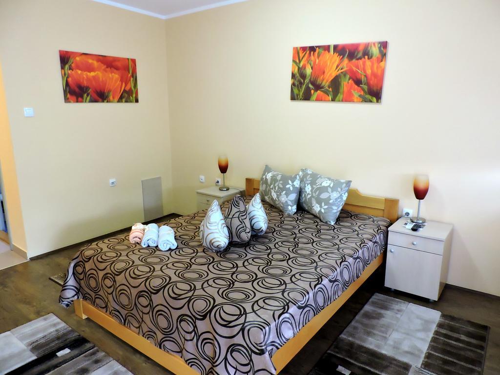 B&B Zmajevo Gnezdo 021 Sremska Kamenica Номер фото
