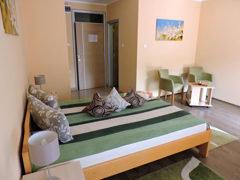B&B Zmajevo Gnezdo 021 Sremska Kamenica Номер фото