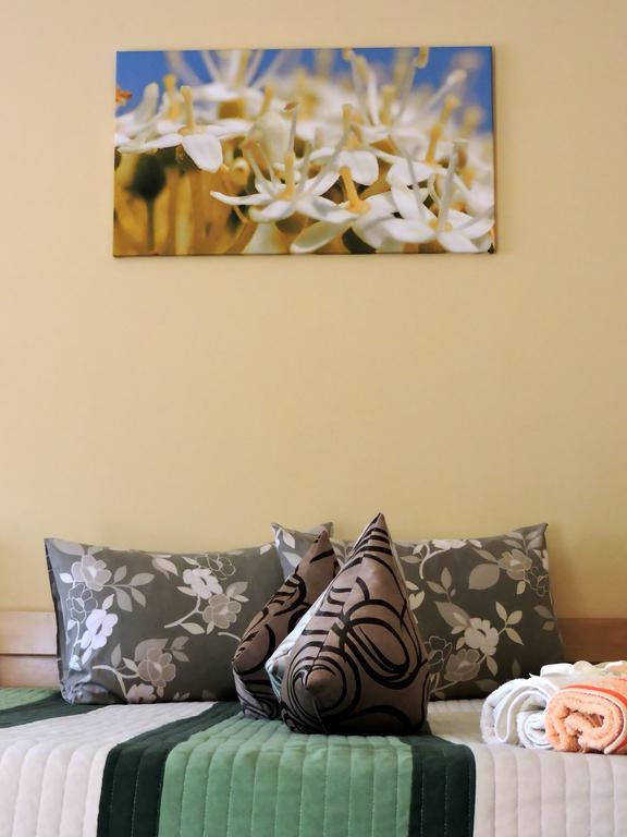 B&B Zmajevo Gnezdo 021 Sremska Kamenica Екстер'єр фото